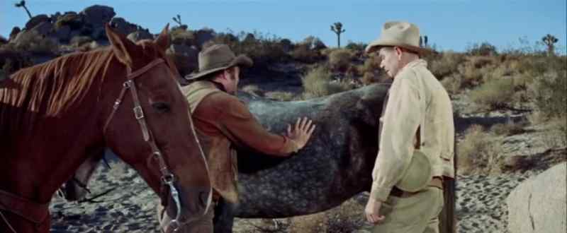 You better see if that horse will move