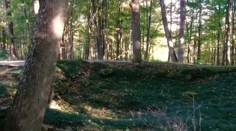 You can clearly see