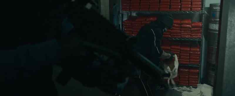 You can help or you can watch
