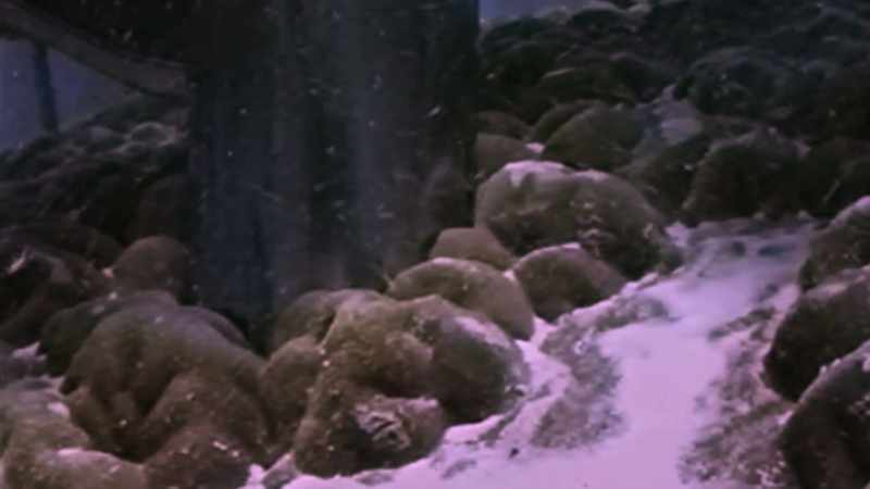 You can look at growth rings in corals