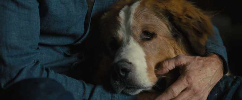 You can protect her. [sniffles]