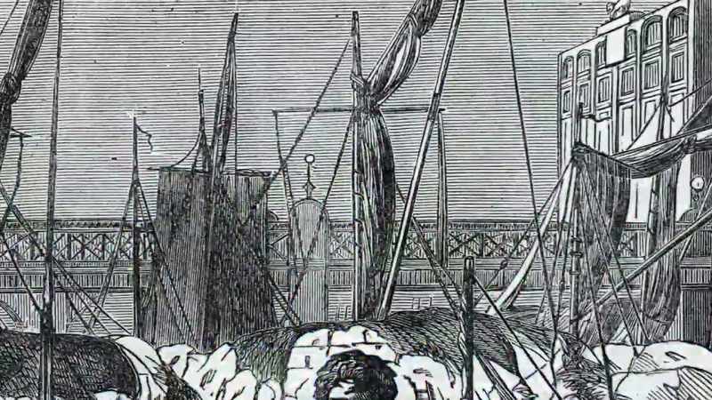 You can see all the masts from the sailing ships