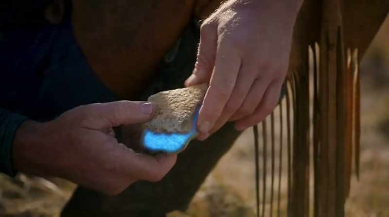 YOU CAN SEE THE BONE MARROW IN THE FOSSILS