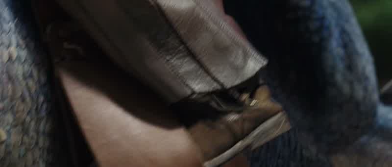You can thank Brom for the saddle