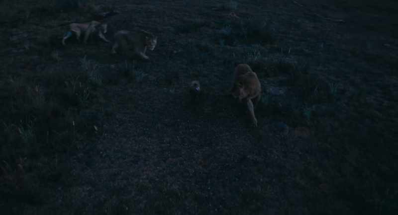 You can try to run, but I'm afraid you won't get very far