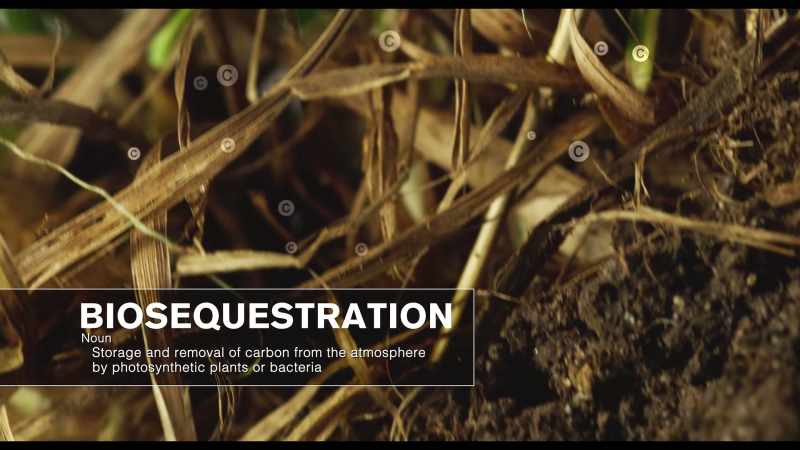 You cannot achieve drawdown without bio sequestration
