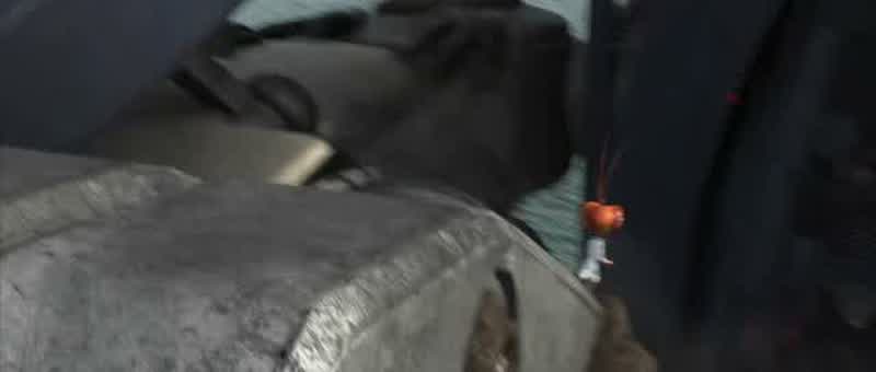 You can't crush a cockroach