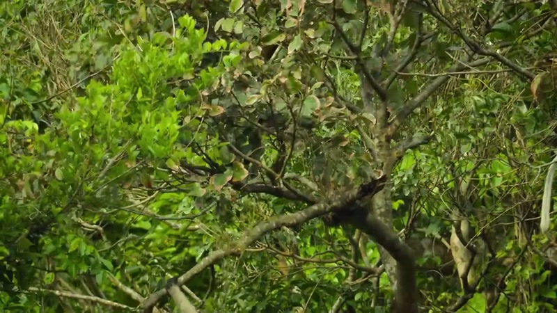 'You can't do this without a lot of practice