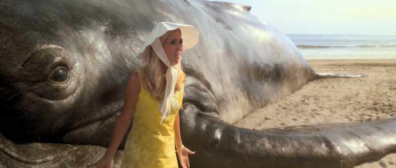 You can't just leave me with this... [stammers] ...beached whale