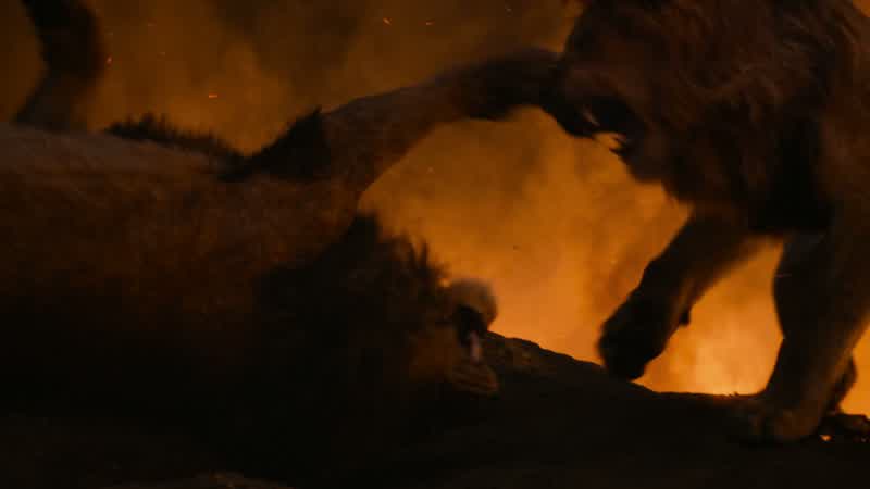 You can't win, Scar!