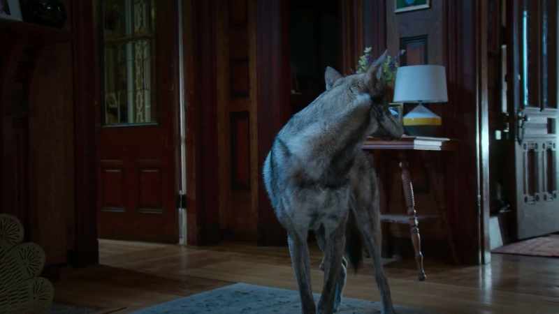 You chose the wrong house to haunt