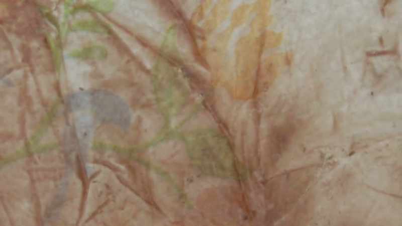 You could clearly see that it had a distinct pattern on it