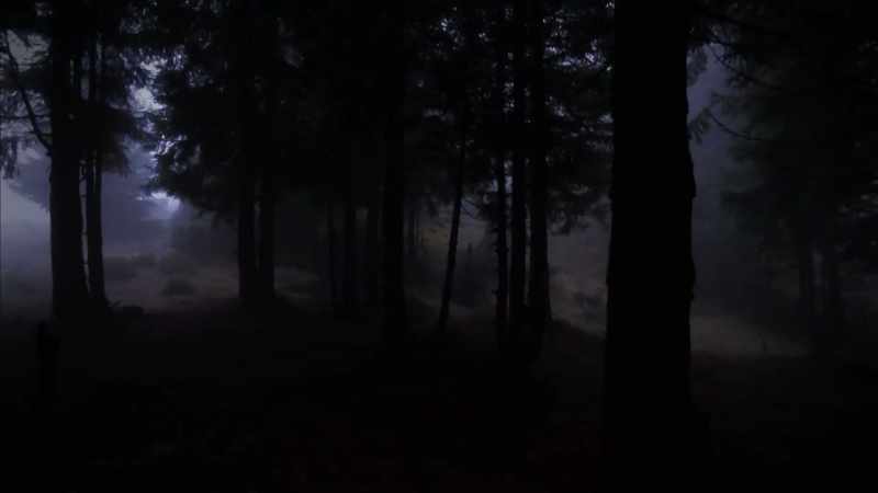 YOU COULD HEAR HUGE BRANCHES GETTING SNAPPED