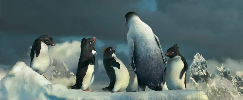You did everything penguinly possible