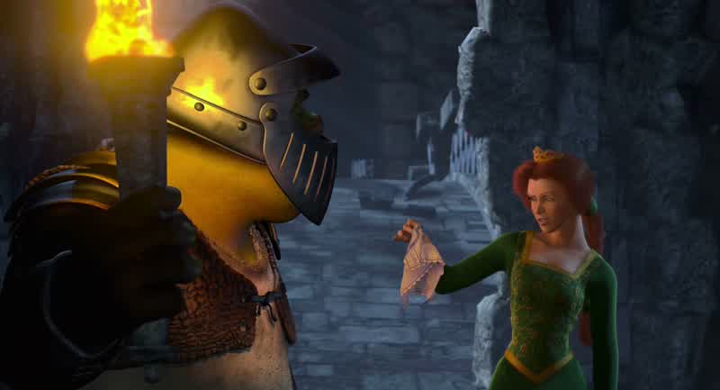 You didn't slay the dragon It's not my job to do this Now come onBut this isn't rightThat's what all the other knights didYeah Right before they burst in the flameThat's not the point