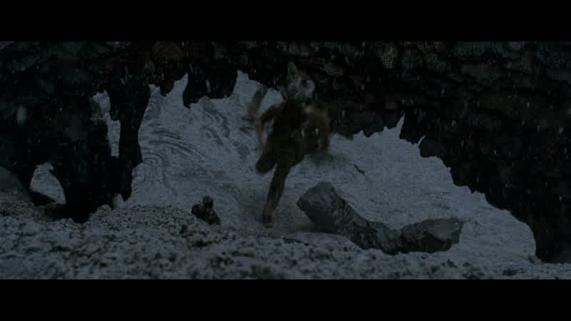 What was that?