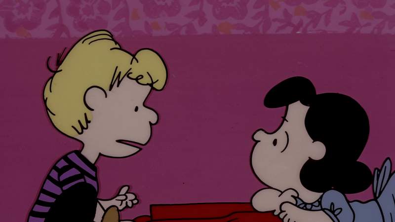 You don't like me do you Schroeder