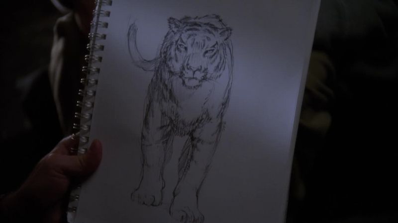 You draw to see it better, but it'll never be real