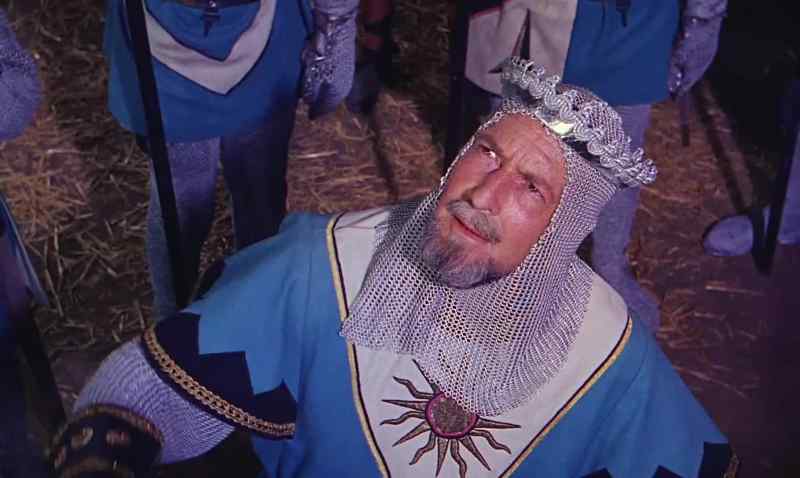 You, farmer. Have you seen the princess?