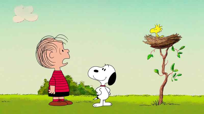 You gave my blanket to a bird?