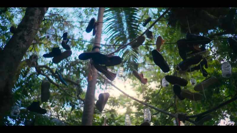 You give the tree one of your shoes