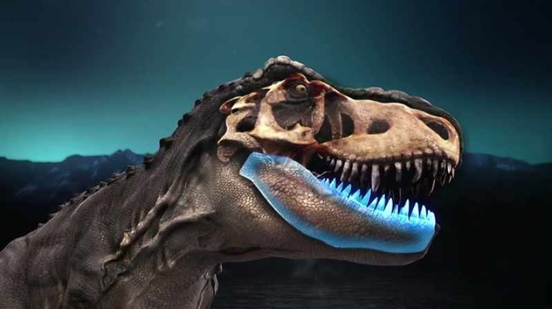 YOU GOT THE DENTARIES, WHICH ARE THE LOWER JAWS