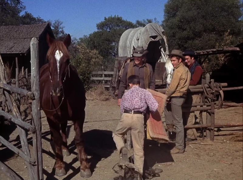 You got yourself a pretty big red horse here, son