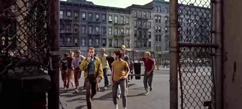 You gotta let me in the gang