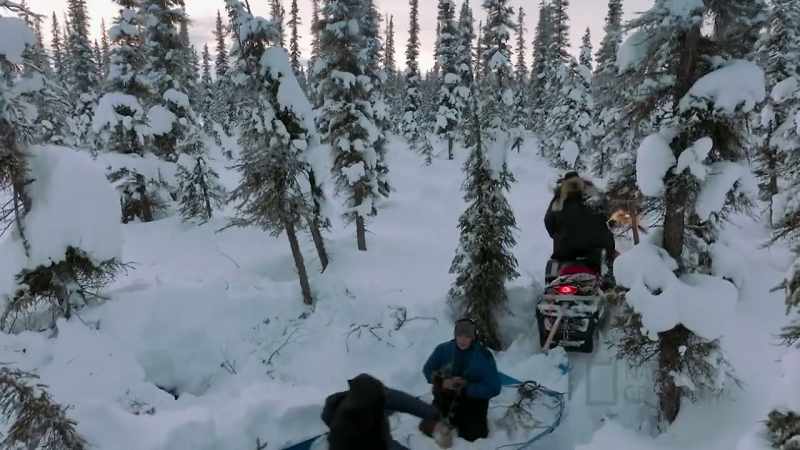 You guys gotta remember where these dens are at