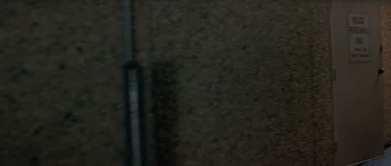 You guys stay here