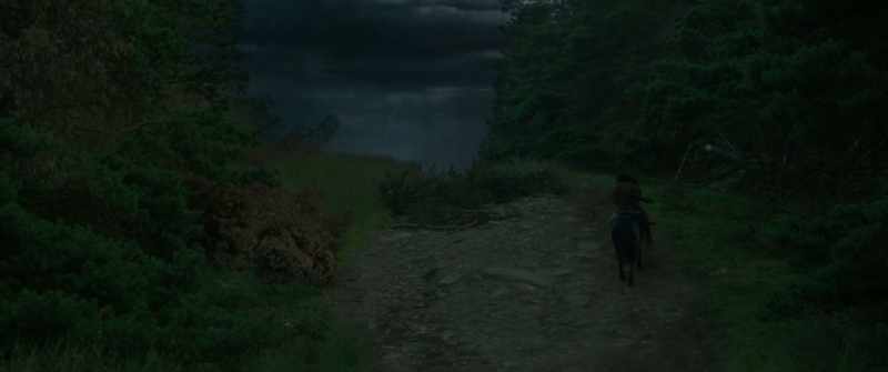 You guys take the safe, long route