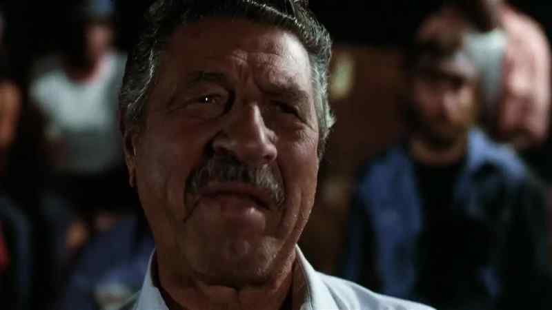 You has-been! You ought to learn to box!