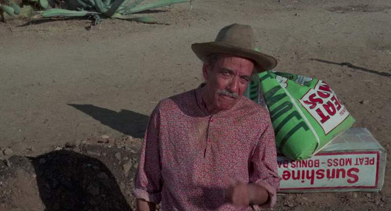 You have a very green thumb