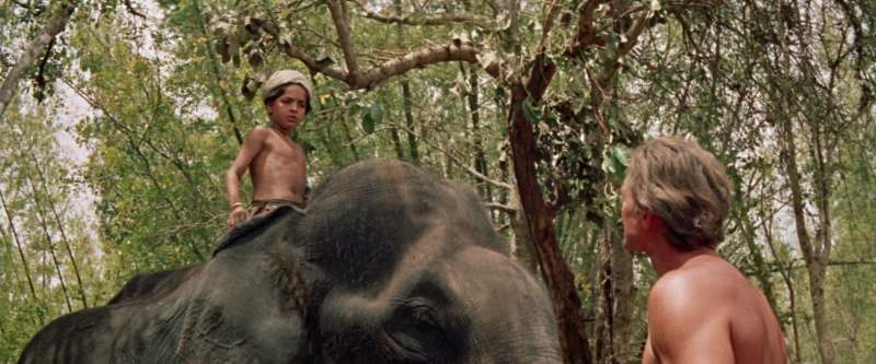 You have an elephant