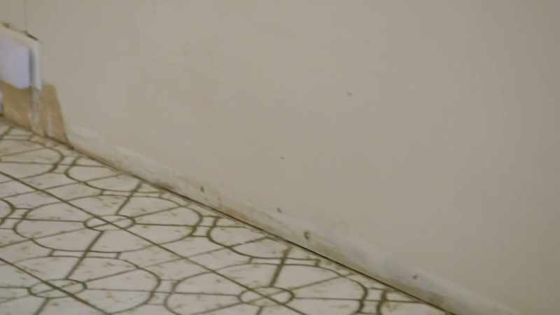 You have this floor