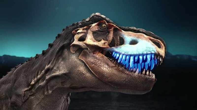 YOU HAVE THE TWO MAXILLAS, THE UPPER JAWS