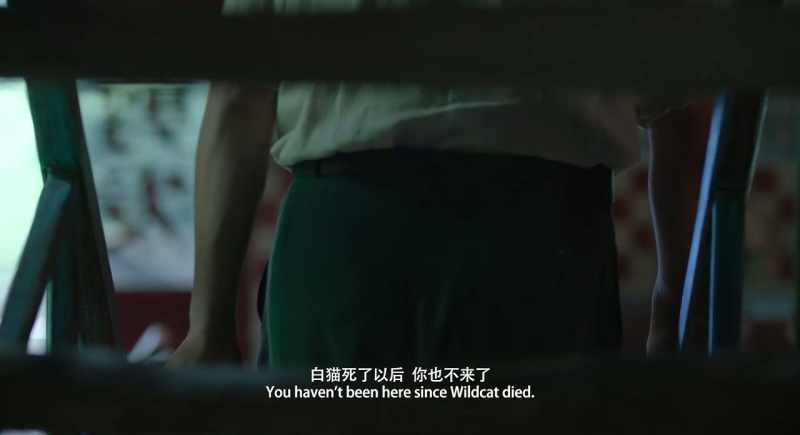 You haven't been here since Wildcat died
