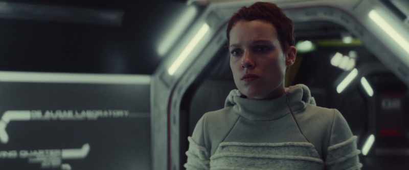 You idiot, what have you done?
