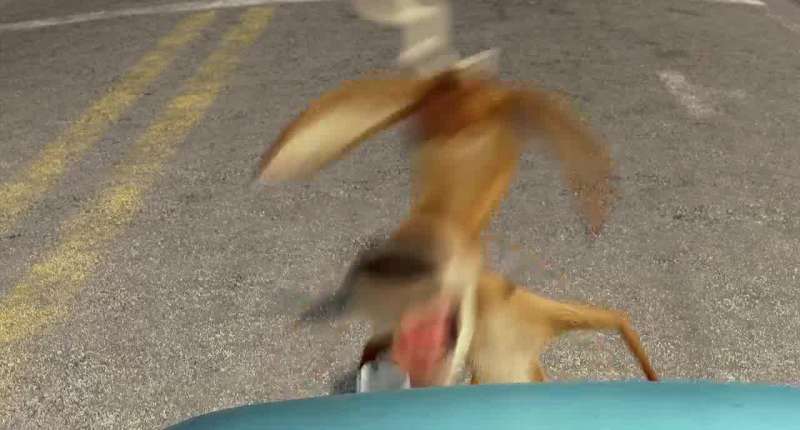 You It walks like a man