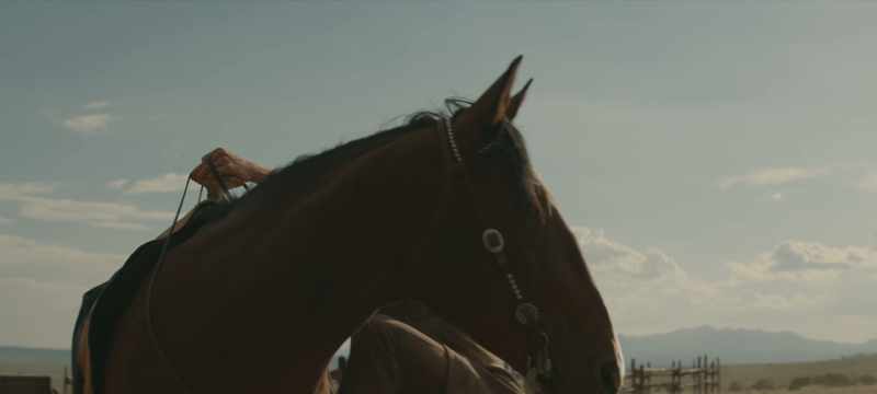 You keep breaking horses
