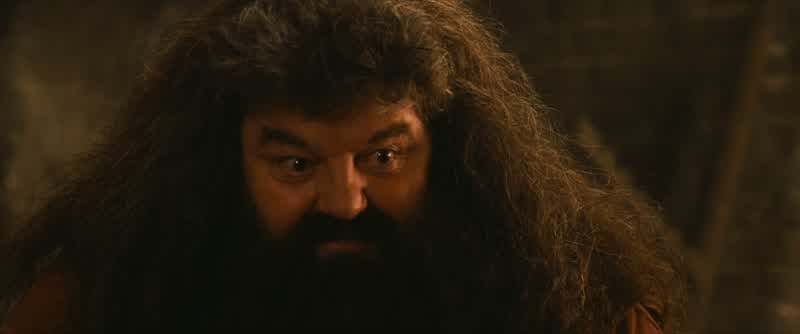 You know, Hagrid