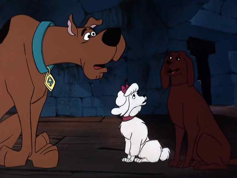 You know where he is, Scooby? - Yeah! Yeah!