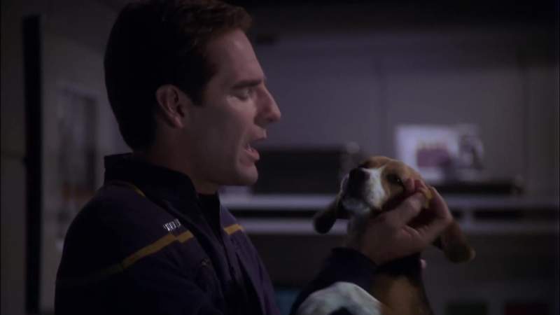 You know Hey You know that you and cheddar don't get along