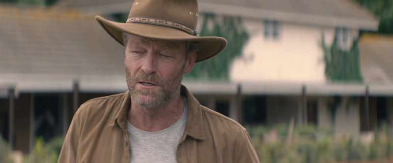 You know, that horse out there, she was rounded up out west