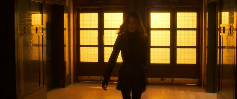 You know I can't let you in, Ada