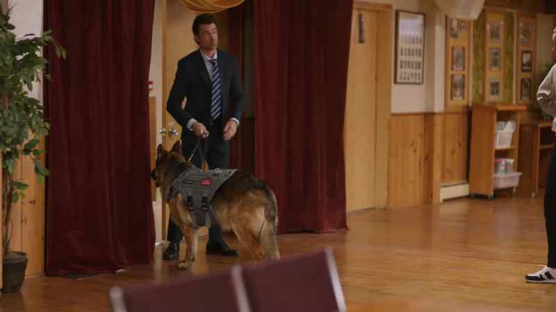 You know, when I heard a detection dog