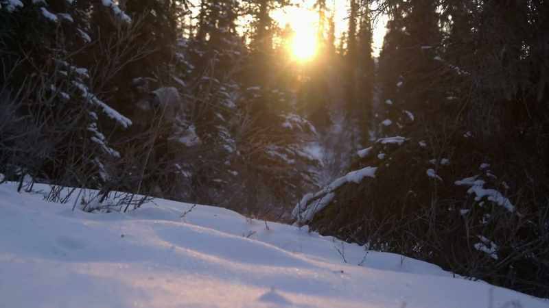 You know, I'’m not going up a side trail or a zig-zag