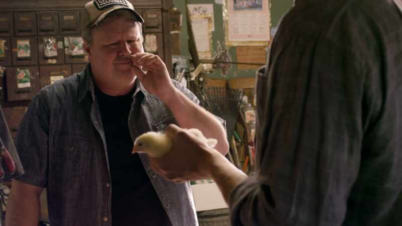 You know, it's a chicken