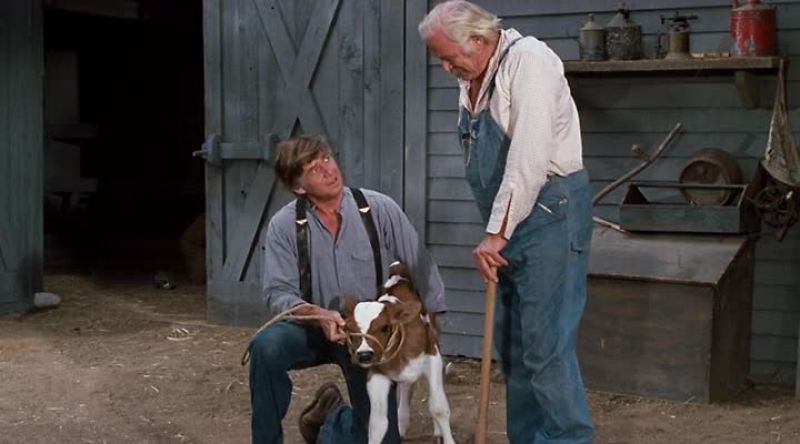 You know, Jim-Bob was telling the young ones