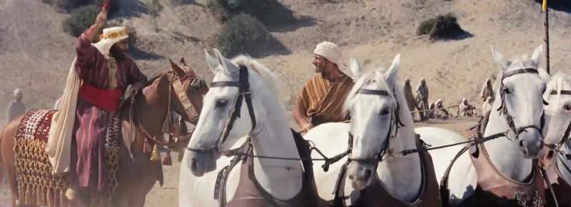 You know nothing of horses